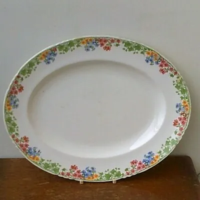Buy Antique (1896) Royal Vitreous 'Floral Design' Porcelain Serving Platter. • 19.99£