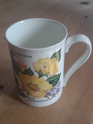 Buy Wellington House Staffordshire Fine Bone China Mugs Floral Design • 6.50£
