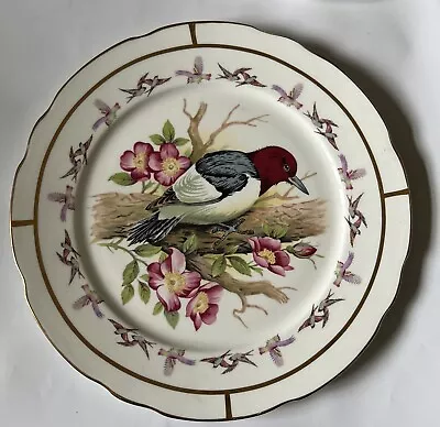 Buy Vintage H&M Royal Sutherland Bird Plate Bone China Excellent Condition • 5.99£