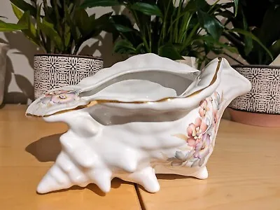 Buy Vintage Conch Shell Ceramic Planter Maryleigh Staffordshire Pottery • 8.99£