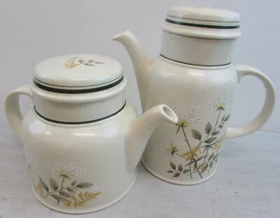 Buy Royal Doulton - Lambethware  - Will O' The Wisp  - Teapot & Coffee Pot • 12.80£
