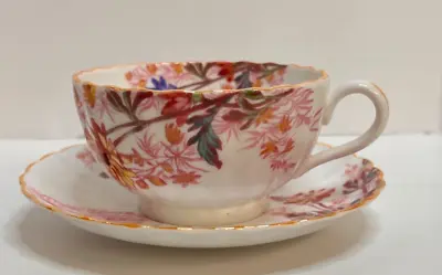 Buy Spode Copeland China Chelsea Garden Tea Cup And Saucer Mustard Trim Excellent • 11.35£