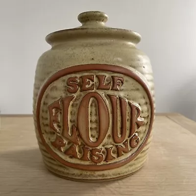 Buy Vintage Cornish Stoneware Tremar Studio Pottery Large Self Raising Flour Lidded • 14£