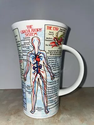 Buy Dunoon Glencoe Fine Bone China 'The Circulatory System' Mug Cup 500ml • 25£