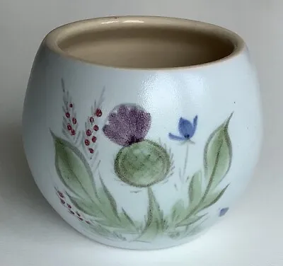 Buy Buchan Finest Stoneware Pot / Sugar Bowl - Made In Scotland - Portobello - VGC • 4£