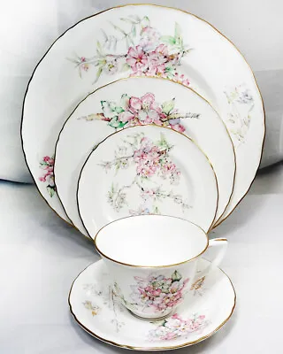 Buy CAPRICE By Royal Worcester 5 Piece Place Setting NEW NEVER USED Made England • 134.49£