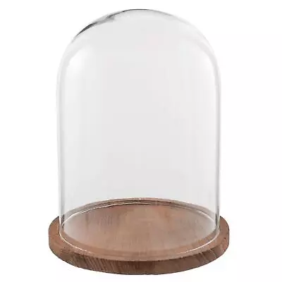 Buy Glass Display Cloche Bell Jar Dome Flower Preservation Cover Wooden Base 28 Cm  • 34.99£