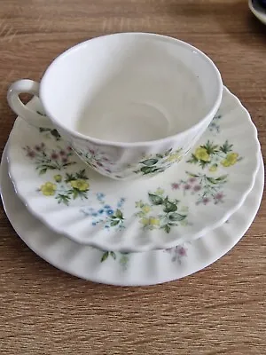 Buy Minton Spring Valley Tea Cup Saucer Plate Trio Fine Bone China  • 6.50£