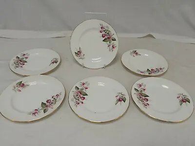Buy Duchess Bone China 'Fuschia' Pattern 6 Tea Plates 6 1/2  • 16£