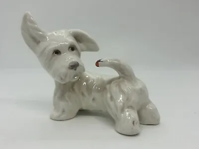 Buy Beswick West Highland Terrier (Westie) Dog With Ladybird On Tail. No.22 • 9.99£