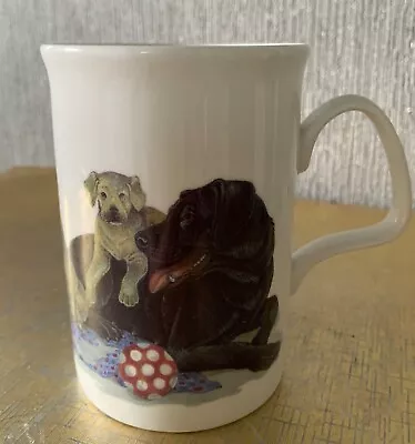 Buy Dog Lovers Mug Cup Labrador Roy Kirkham Bone China Unused Perfect • 3.99£