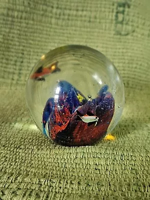 Buy Art Glass Aquarium/Ocean Themed Paperweight • 7.99£