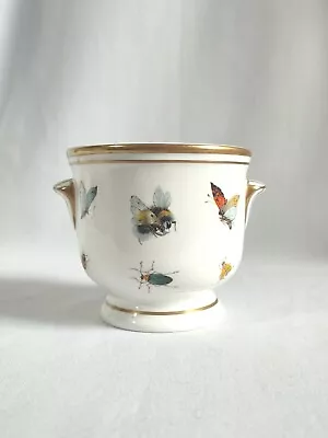 Buy Gorgeous Princess Royale Fine Bone China Planter Bee Butterfly Insects 10 CMS  • 30£