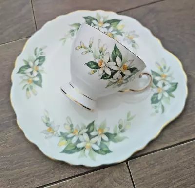 Buy Vintage 1950s Tuscan Bone China Snack Tennis Set Tea Cup Plate Bridal Flower VGC • 11.99£