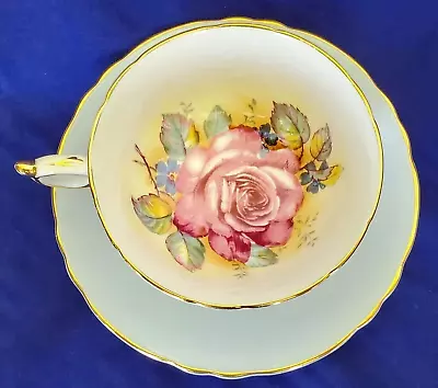 Buy Paragon Teacup & Saucer Set Powder Blue With Huge Floating Cabbage Rose Antique • 378.88£