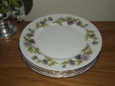 Buy SET OF 6 Paragon Bone China Highland Queen 27cm (10.75 ) DINNER Plates Thistle • 29.95£
