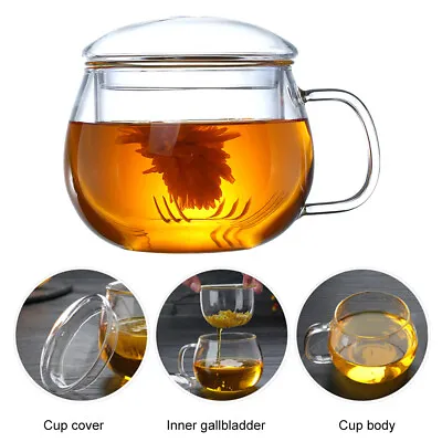 Buy Tea Cup With Filter Hand Blown Heat Resistant Glass Lid Infuser 350ml Bottle Mug • 13.35£