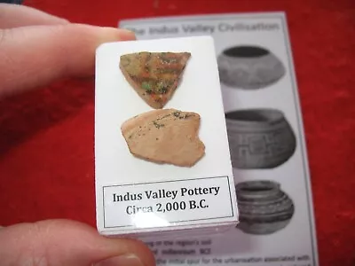 Buy Indus Valley 1500 B.C. Patterned Painted Pottery Shard Fragment Display Case #4 • 15£