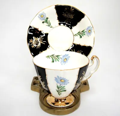 Buy Adderley Bone China Tea Cup And Saucer Black White Blue Flower Gilded Footed • 9.37£