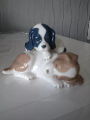Buy NAO Figurine, Dog, Wake Up, 0385 • 6£