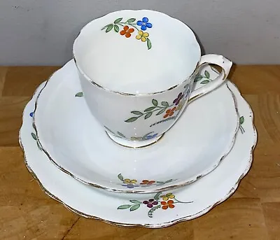 Buy Rare New Chelsea Staffs Handpainted Floral Trio Cup Saucer Plate • 18£