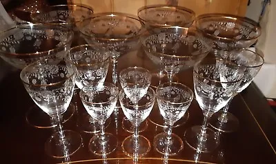 Buy Vintage 13 X Art Deco Fine Etched ~ Cocktail Elegant Fine Glass Set  • 140£