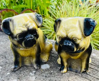 Buy Pair Of Antique Victorian Staffordshire Ceramic Fire Side Pug Dogs • 9.99£