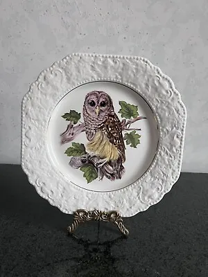 Buy Lord Nelson Pottery Barred  Owl Square Plate Handcrafted In England 8 1/4” • 14.17£