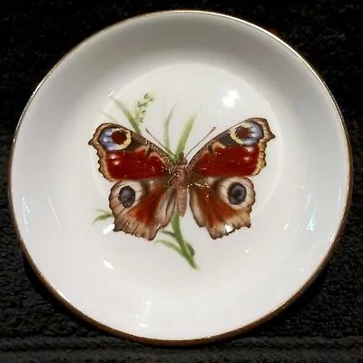 Buy Vintage Royal Worcester China Butterflies Pin / Trinket  Dish - C51 Peacock 1982 • 6.98£