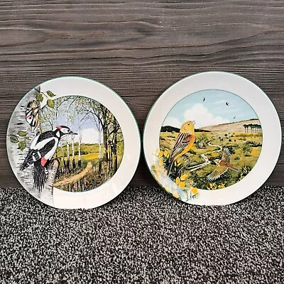 Buy Royal Doulton Birds Of The British Countryside Decorative Set Of 2 Plates 21cms • 17.95£