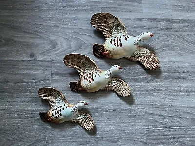 Buy Beswick - 3 Graduated Flying Partridges - Wall Plaques • 325£