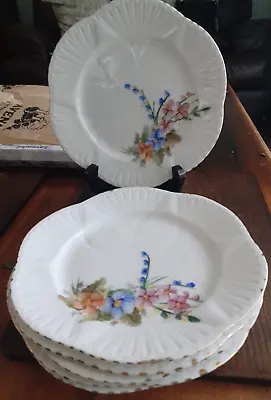 Buy Set Of 6 Antique Vintage Shelley Bone China Dainty Bread Plates Wild Flowers 7  • 23.99£