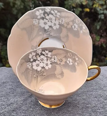 Buy Vintage Paragon ' Primula ' Bone China Tea Cup And Saucer - Pale Peach Colour • 4.99£