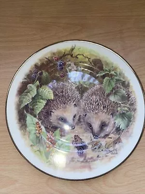 Buy Fenton Bone China Collectible Plate European Hedgehog  • 5.99£