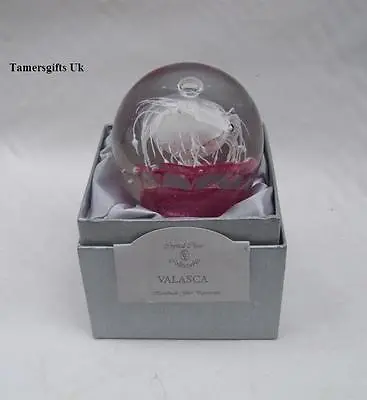 Buy Crystal Clear Collectables Glass Paperweight Free Post • 9.99£