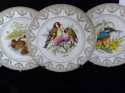 Buy Set Of 3 Vintage English Bone China Collectors Plates - Bird Designs • 5£
