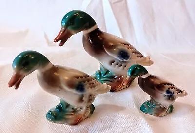 Buy Vintage Mallard Ducks - Beautiful Coloured Set Of 3 In Glazed Ceramic Pottery • 25£