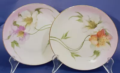 Buy 2 Antique Bavarian Plates Z.S. & Co Hand Painted 1880- 1918 Wall Cabinet Decor • 36.05£