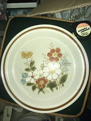 Buy 1 X Vintage 1970's Highland Florals Collection Stoneware Cake Plates Japan 10.5  • 15£