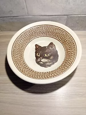 Buy Purbeck Pottery Large Bowl With Cat Detail - English Stoneware, Bournemouth • 12£