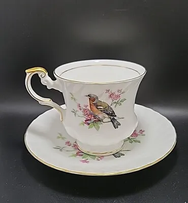 Buy Queens Fine Bone China Birds Teacup And Saucer ENGLAND Rosina China Co • 20.03£