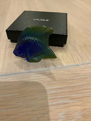 Buy Lalique Crystal (Brand New) Fish Sculpture Colour CAP FERRAT BLUE LUST Beautiful • 64£