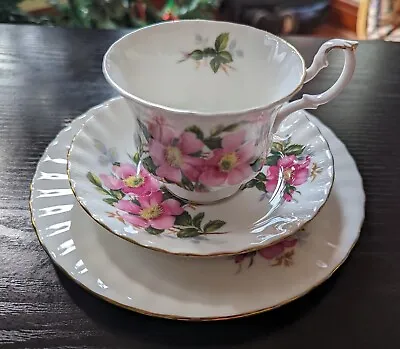 Buy ROYAL ALBERT PRAIRIE ROSE Cup, Saucer And Side Plate  - Vintage English Boneand • 9.99£