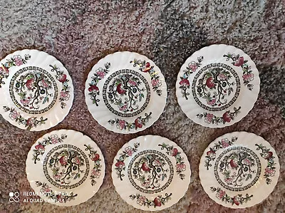 Buy Myott Old Chelsea Indian Tree Plates • 16.99£