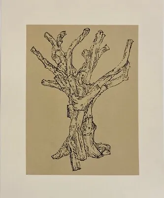 Buy Ai Weiwei:  Signed Limited Edition Print 'Cedar' • 2,212.83£