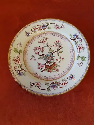 Buy Royal Worcester Antique 1903  Dinner Plate Indian Tree • 10£