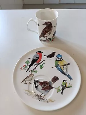 Buy Roy Kirkham Large Breakfast Cup And Plate Fine Bone China Garden Birds • 5.95£