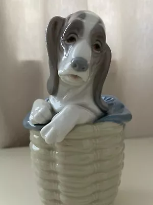 Buy Lladro 1128 Dog In Basket. Vintage. Retired • 28£