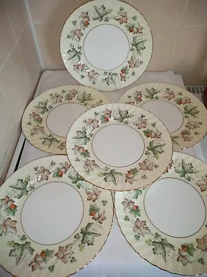 Buy Foley Avondale Dinner Plates.X 6 Very Rare Set Of China • 27.20£