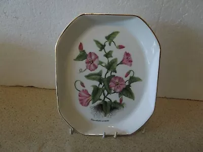 Buy Royal Vale Pottery Oblong Display Plate Convolvulus Avensis Design  • 4.99£